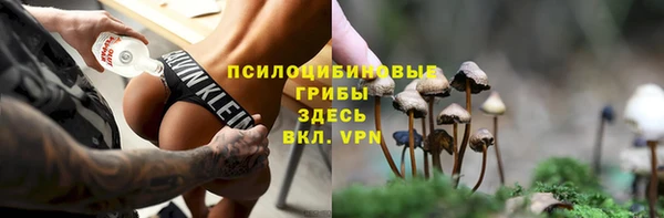 прущие крисы Зеленодольск